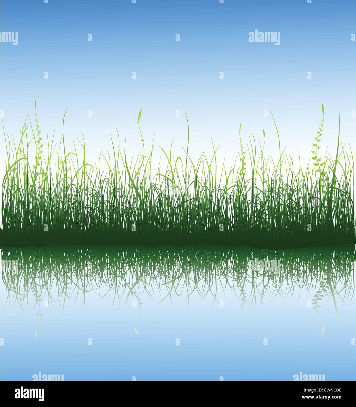 Grasgrün und blauer Himmel mit Spiegelung im Wasser Stock Vektor
