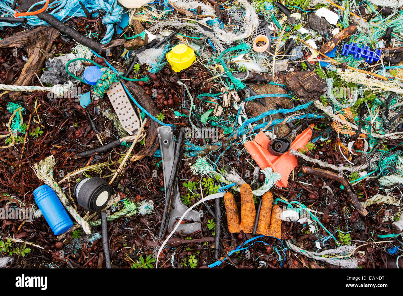 Kunststoff-Müll angeschwemmt auf Rubha Coigeach in Assynt, Scotland, UK. Stockfoto