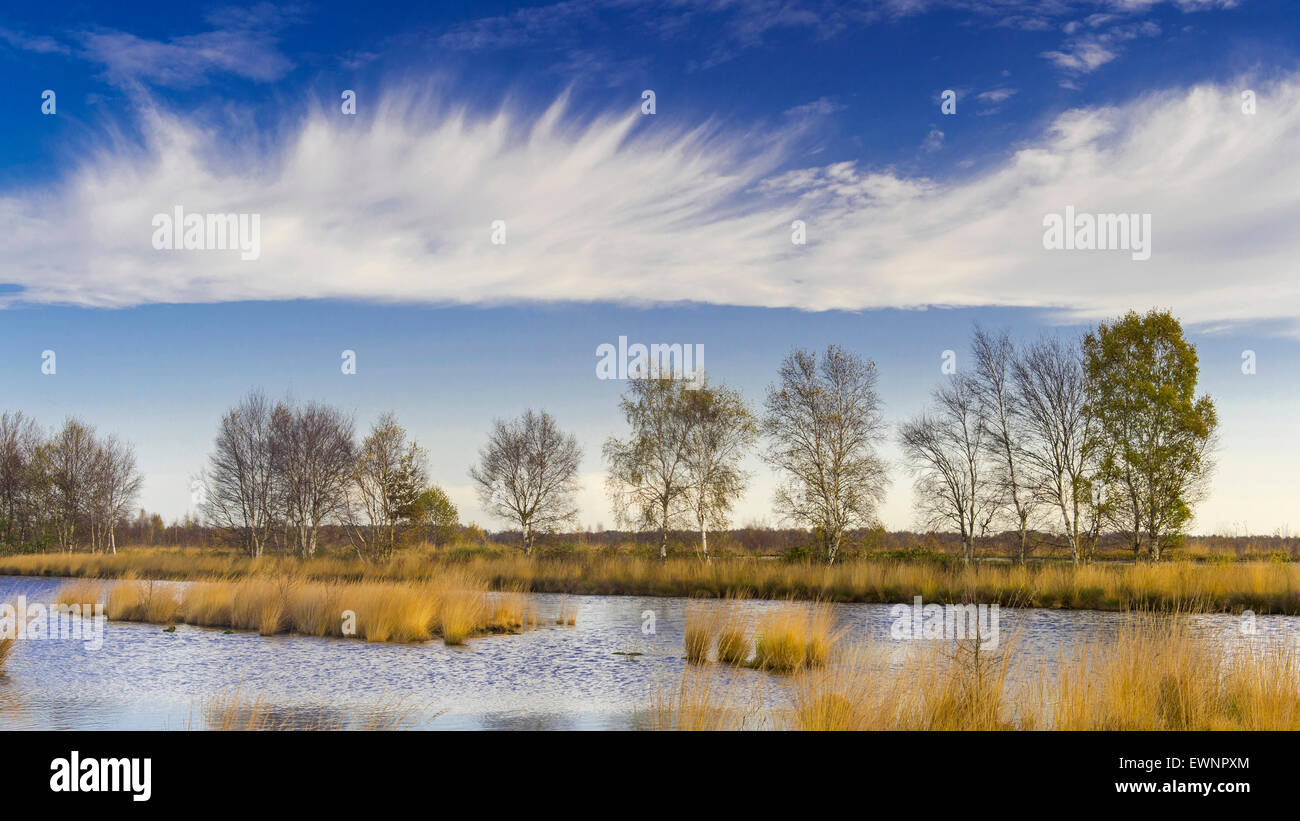 Goldenstedter moor, Niedersachsen, Deutschland Stockfoto