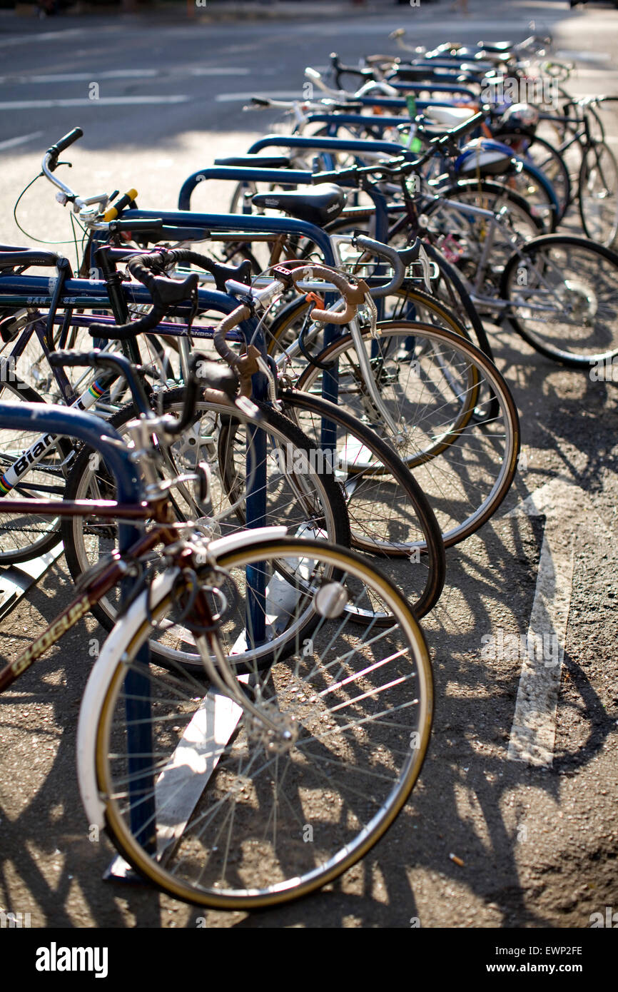 Fahrradträger voll belegt Stockfoto
