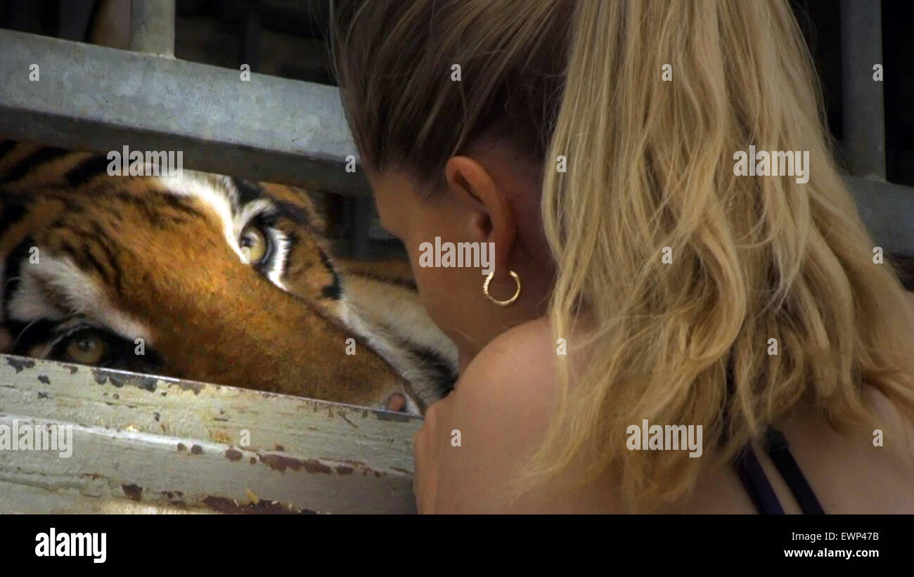 Wilde Frauen - sanfte Tiere in einem Schweizer film b der Direktor von Anka Schmid.  Dieses Foto ist nur zu redaktionellen Zwecken und unterliegen dem Copyright von der Filmgesellschaft und/oder der Fotograf von dem Film oder der Firma zugeordnet und kann nur durch Veröffentlichungen im Zusammenhang mit der Förderung der oben genannten Film reproduziert werden. Eine obligatorische Gutschrift auf die Filmgesellschaft ist erforderlich. Der Fotograf sollte auch angerechnet werden, wenn bekannt. Stockfoto