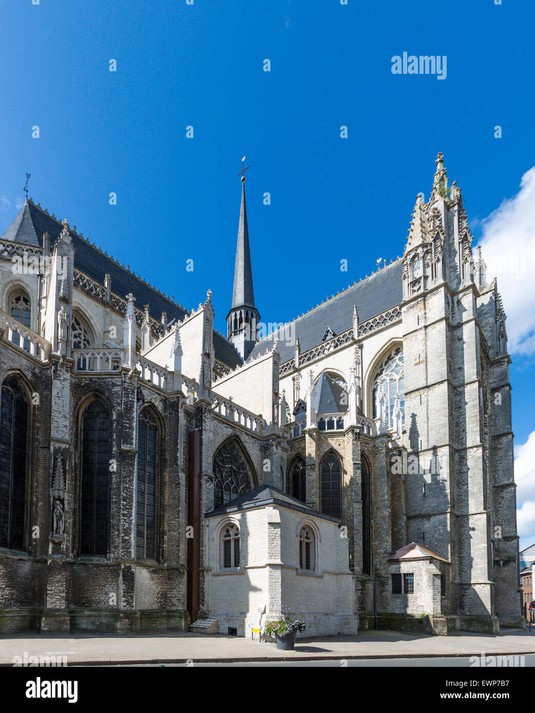 St.-Petri Kirche, Leuven, Belgien Stockfoto