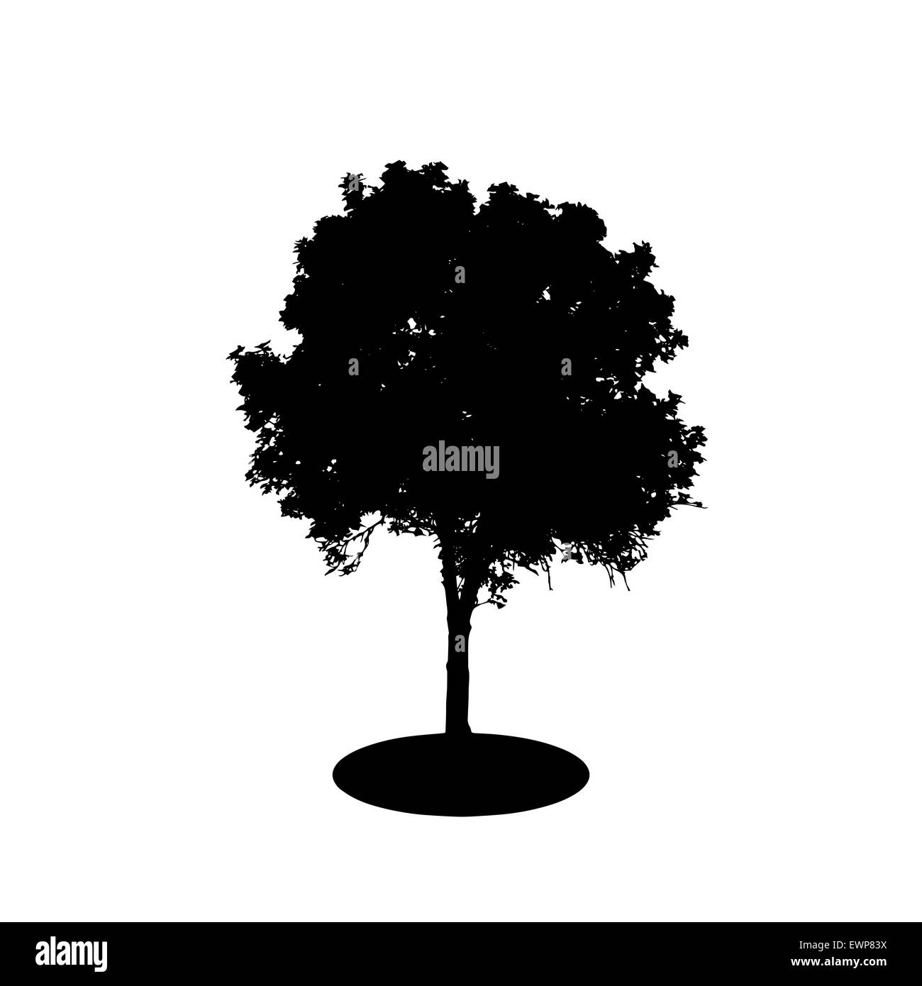 Baum-Silhouette isoliert auf weißem Migrationshintergrund. Vektor-Illustration Stock Vektor