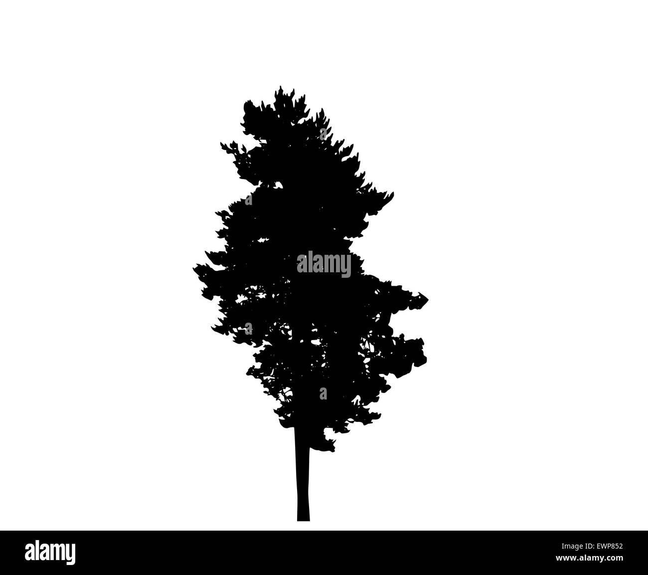 Baum-Silhouette isoliert auf weißem Migrationshintergrund. Vektor-Illustration Stock Vektor