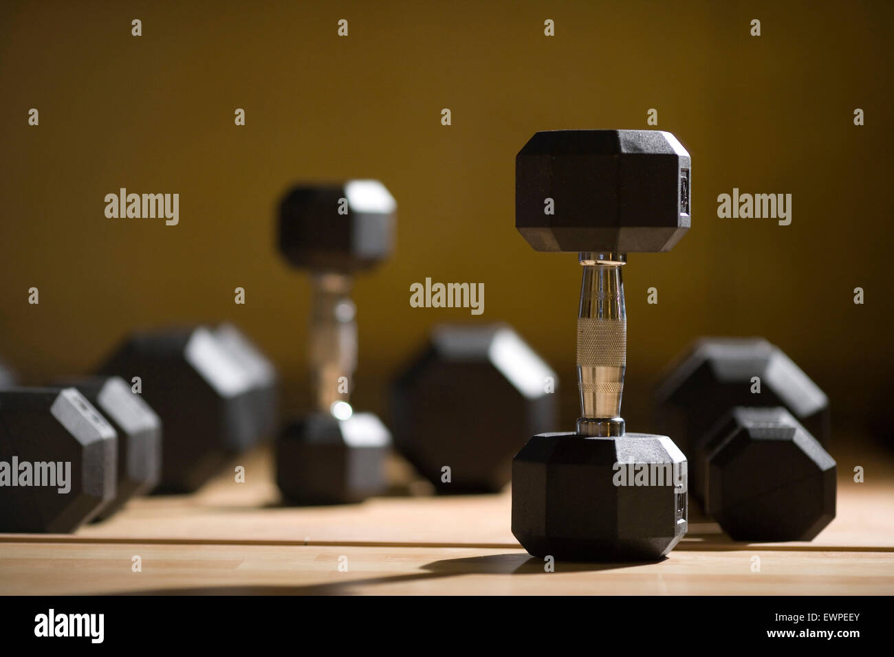 Freie Gewichte auf dem Boden eines personalisierten Workout-Studio Stockfoto