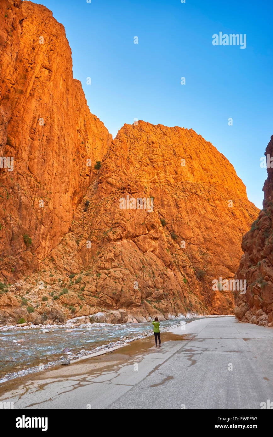 Gorges du Todgha, Tinghir, Marokko, Afrika Stockfoto