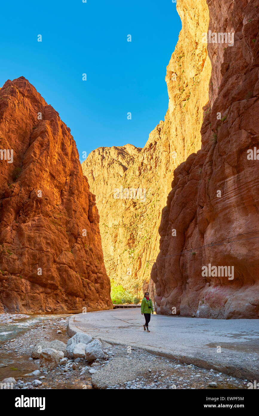 Todra Schlucht, natürlichen Schlucht in der Nähe von Tinerhil. Region Atlasgebirge, Marokko Stockfoto