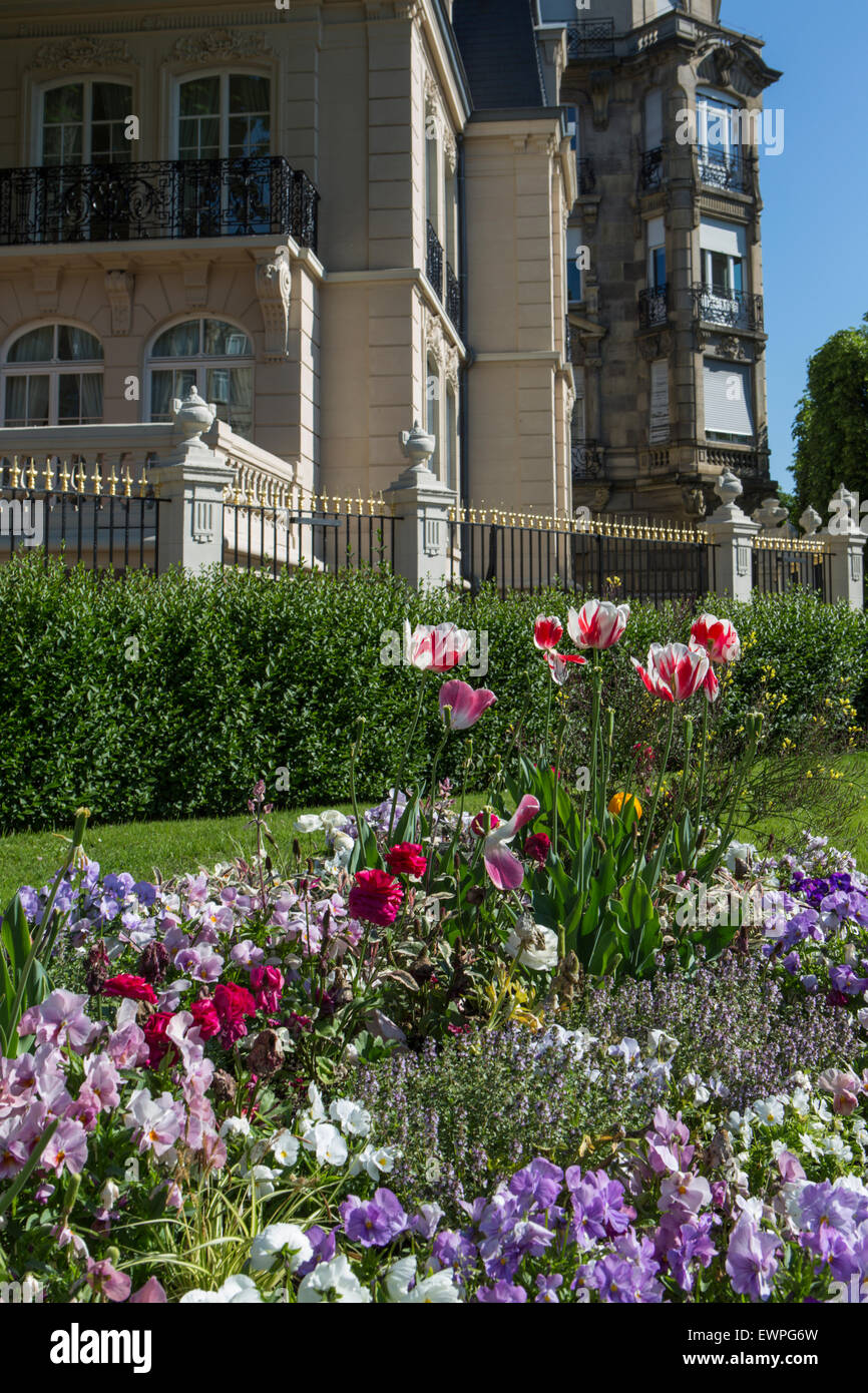 Blumen draußen, Russisches Konsulat, Straßburg, Elsass, Frankreich Stockfoto