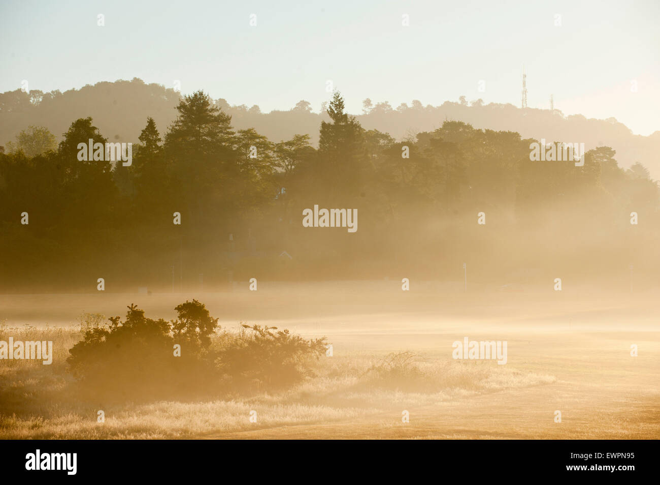 Reigate, Surrey, UK. 30. Juni 2015. Am frühen Morgennebel in Reigate Heide. Bildnachweis: Graham M. Lawrence/Alamy Live-Nachrichten Stockfoto