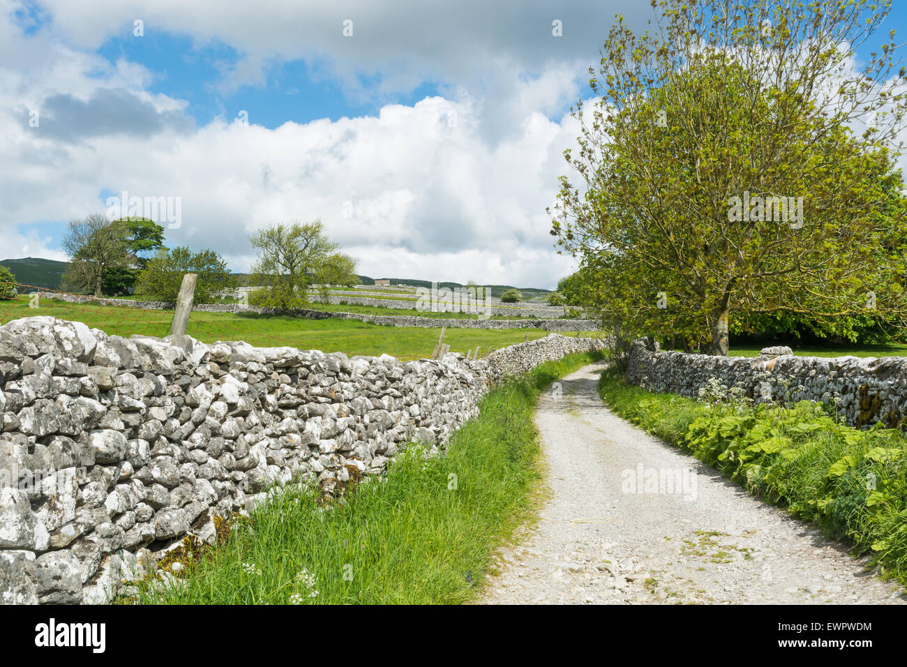 Verfolgen Sie vorbei an Trockensteinmauern in Yorkshire Dales Stockfoto