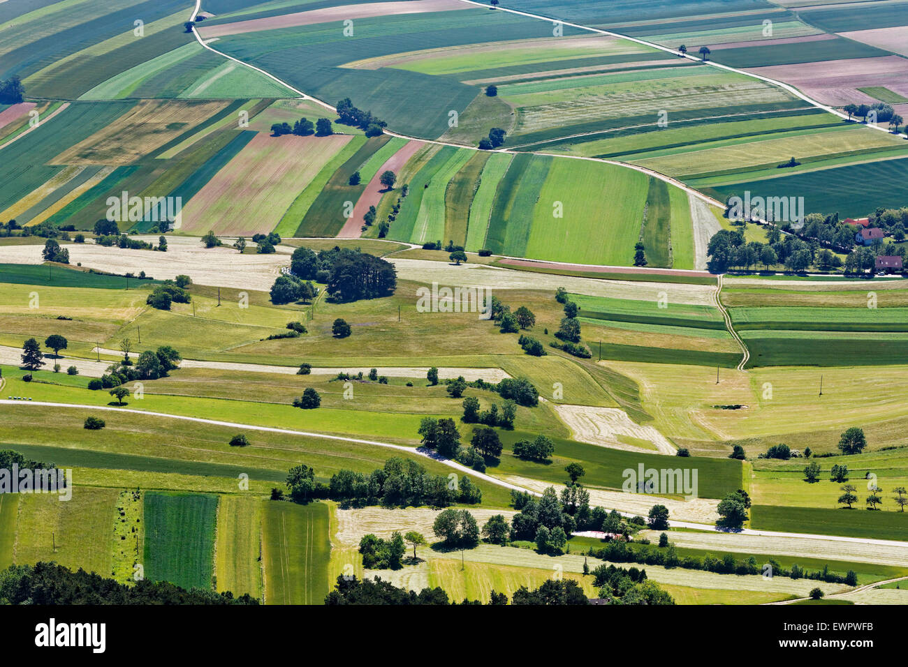 Felder, Landschaft von Neue Welt, Blick vom hohen Wand, Hohe Wand Gemeinschaft, Industrieviertel, Niederösterreich, Österreich Stockfoto