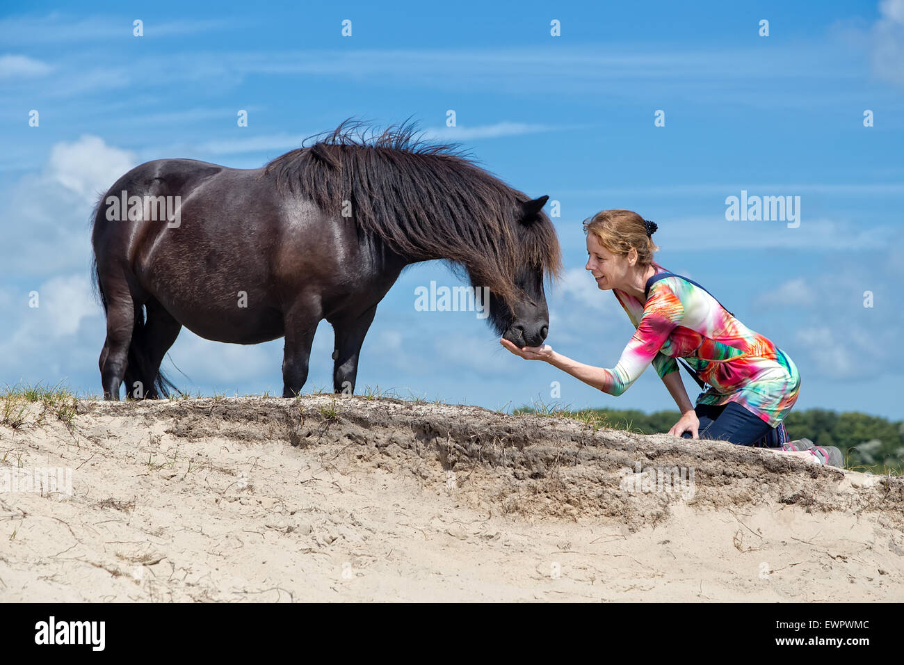 Kaukasische mittlere gealterte Frau kniend Fütterung schwarzen Pony in der Natur Stockfoto