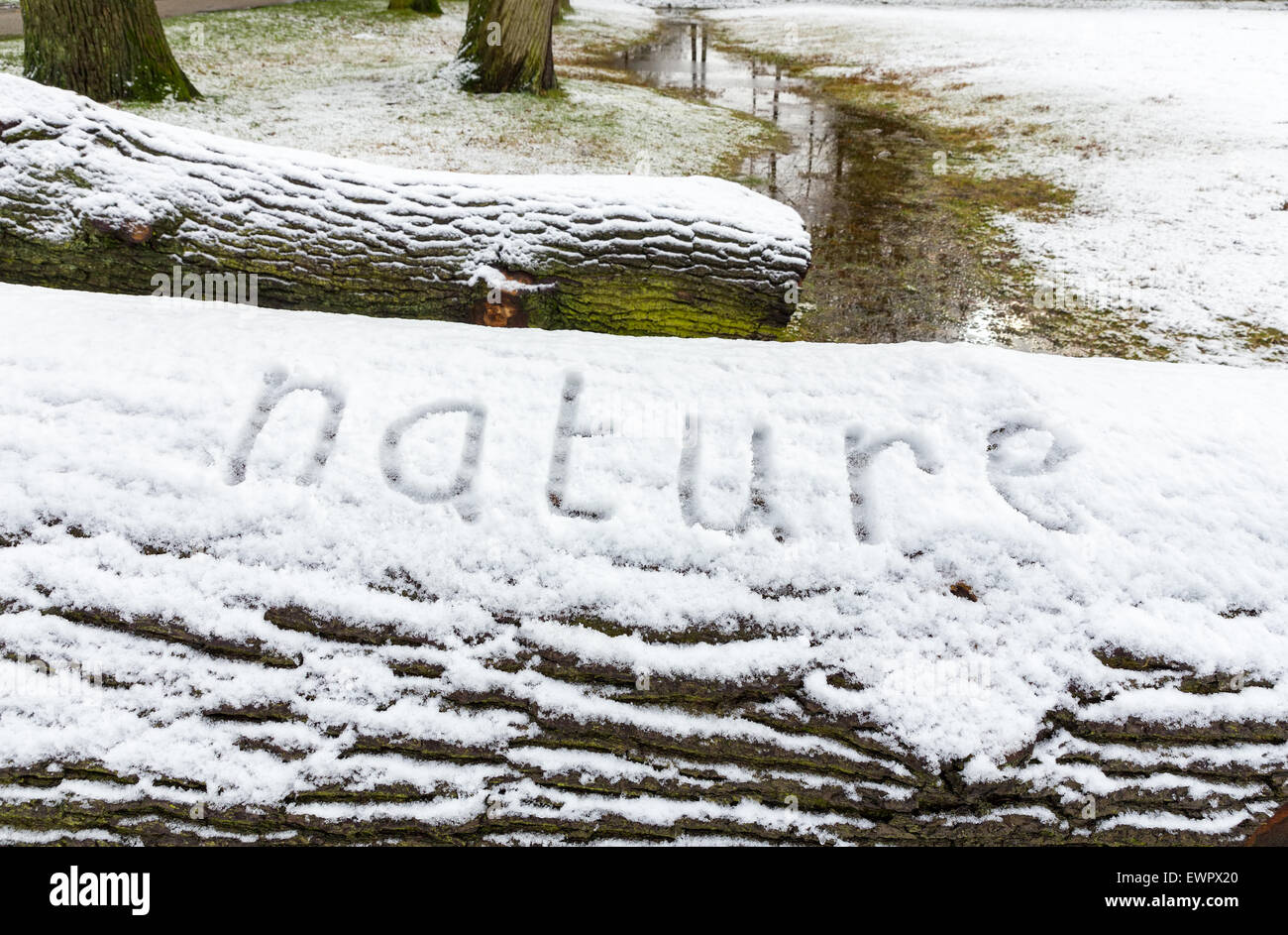 Word Art geschrieben im Schnee auf Baumstämmen in der Wintersaison Stockfoto