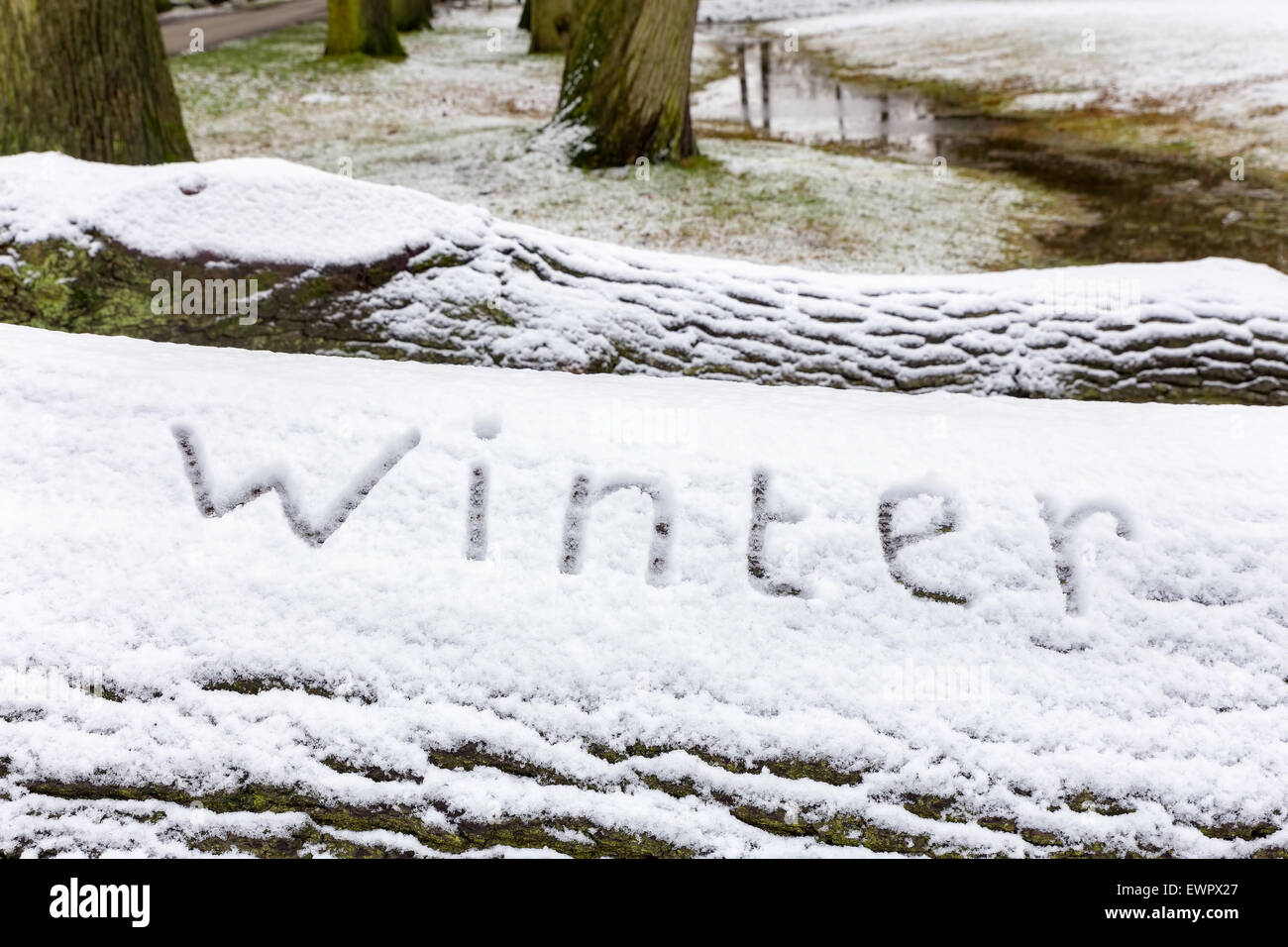 Wort-Winter im Schnee auf Eiche Baumstamm geschrieben, während der Wintersaison Stockfoto