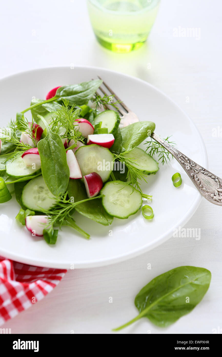 frischer Salat mit Radieschen auf weißen Teller Stockfoto