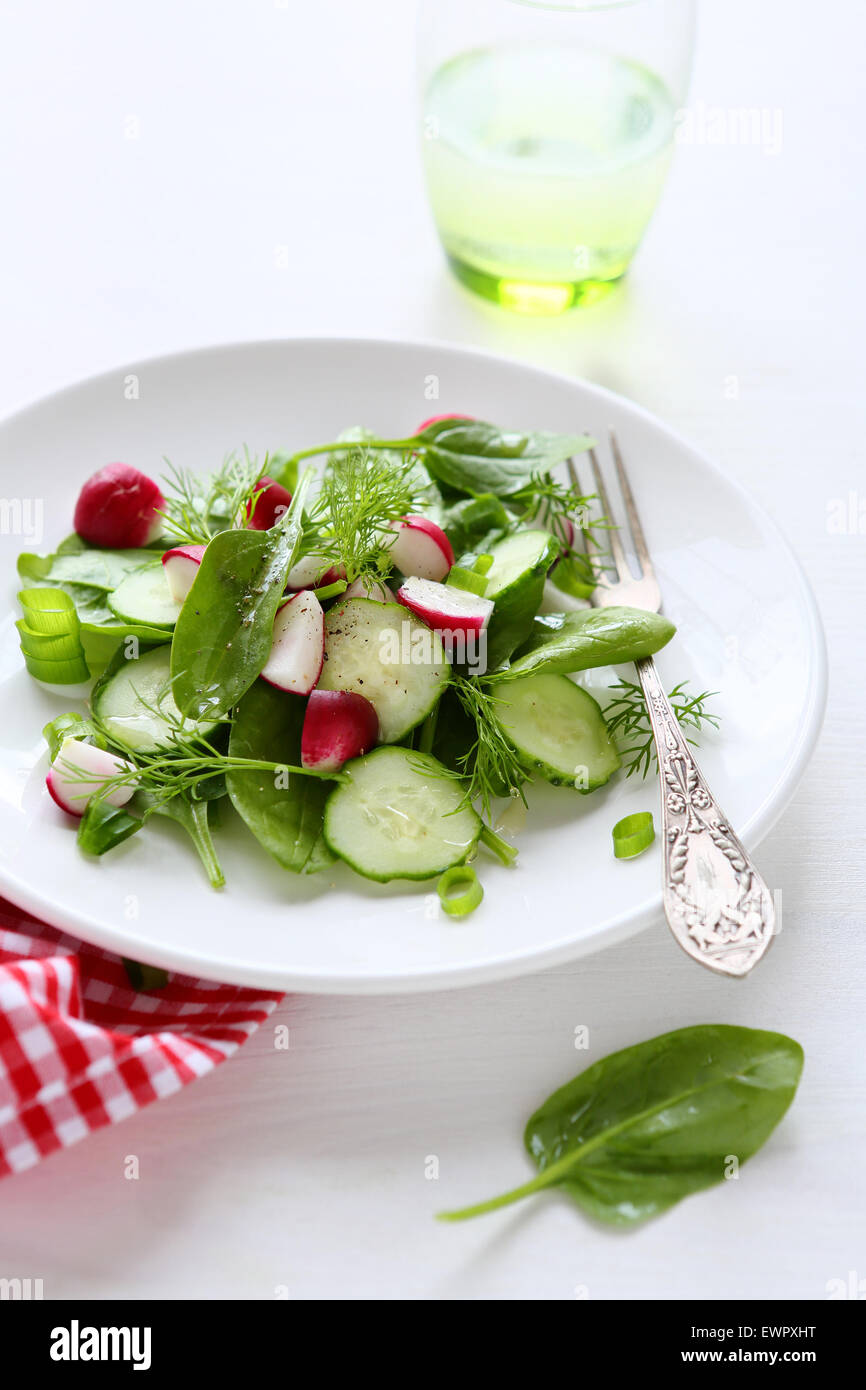 frischer Salat mit Radieschen und Gurken, Essen Nahaufnahme Stockfoto