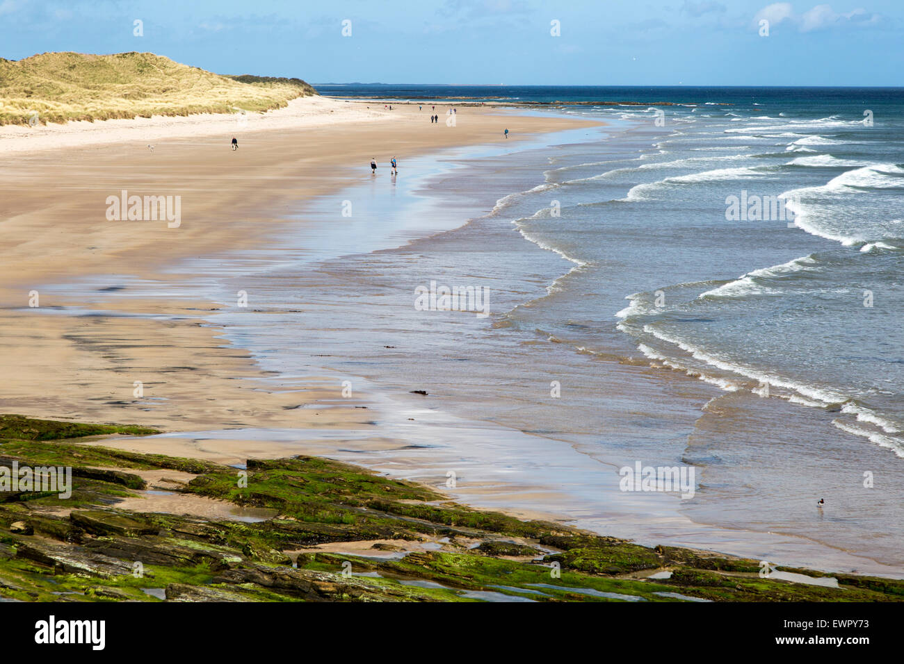 Breiten Sandstrand an der gemeinsame, Northumberland, England, UK Stockfoto