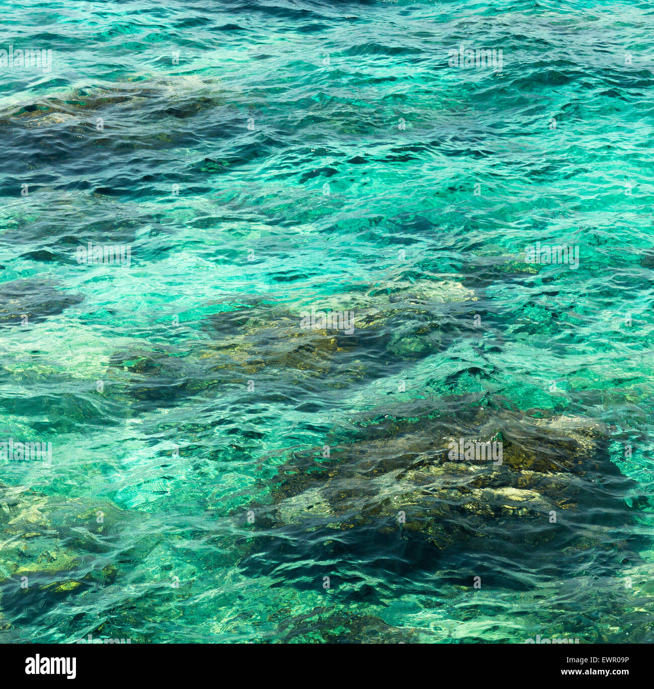 transparentes Wasser plätschern, marine Steinen und Sonneneinstrahlung Blendung. Meeresboden Hintergrund Stockfoto