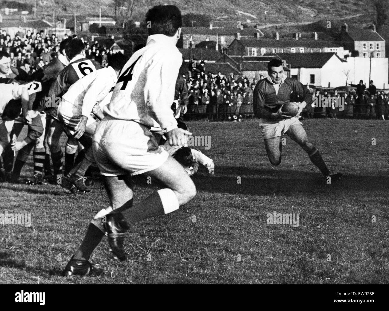 Walisischen Rugby in Treorchy Reds vorwärts Haydn Morgan macht eine Pause mit dem Ball. 6. November 1965. Stockfoto