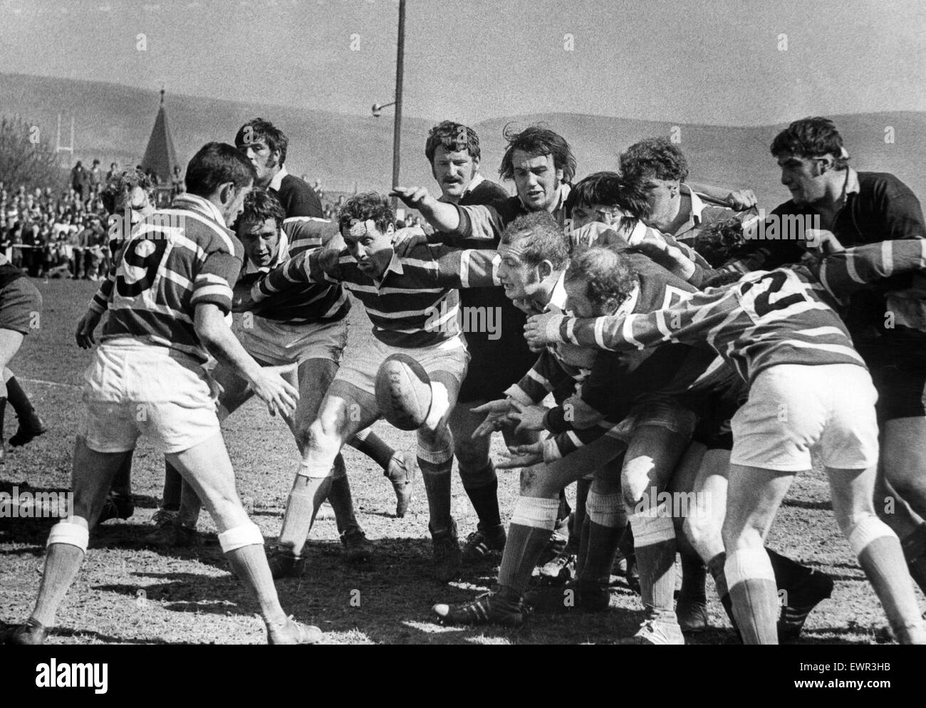 Rugby-match, Bridgend V Maesteg. John Lloyd, Bridgend Prop vorwärts und Kapitän übergibt dem Ball aus einer Linie an seine Scrum Hälfte Wynne Jones während eines Spiels gegen Maesteg. 10. April 1971. Stockfoto