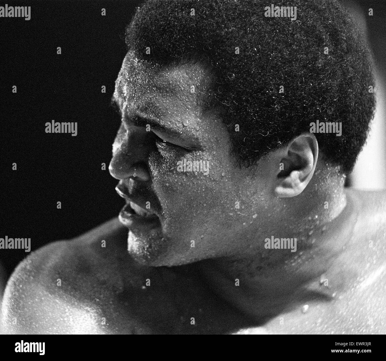 Muhammad Ali kämpft seinen Weg zurück zu Fitness in seinem Bahamas-Trainingslager. Er schwor, 1 1/2 Stein vor seinen großen Kampf mit Schwergewicht Weltmeister Trevor Berbick zu verlieren. 17. November 1981 Stockfoto