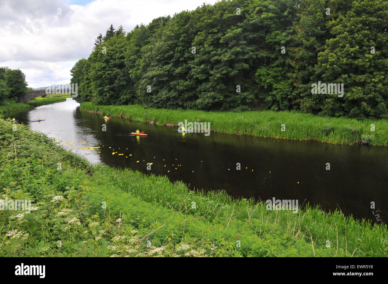 Am Anfang des Kemnay Duck Race Stockfoto