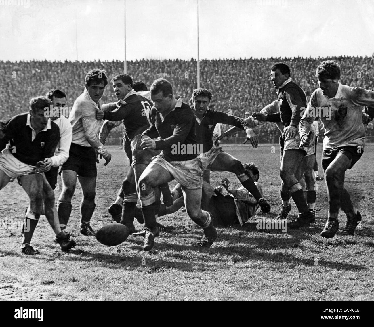 Wales V Frankreich Rugby-Spiel. Welsh weiterleiten John Lloyd dribbling den Ball in dem losen. 26. März 1966. Stockfoto