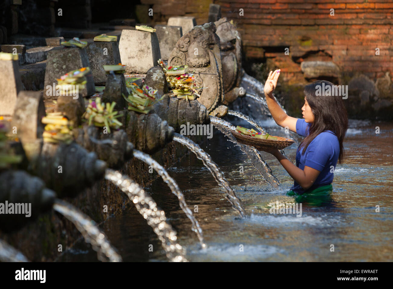 Eine Frau bereitet heilige balinesische Hindu-Gaben an den Tirta-Empul-Quellen in Tpaksiring, Bali, Indonesien, zu. Stockfoto