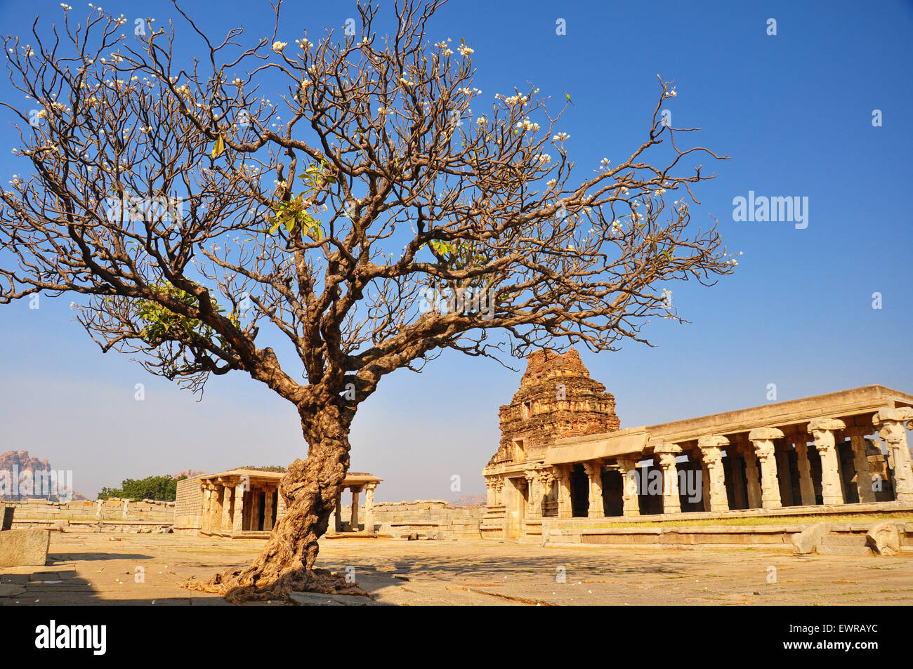 Vittala Tempel in Hampi, Indien Stockfoto