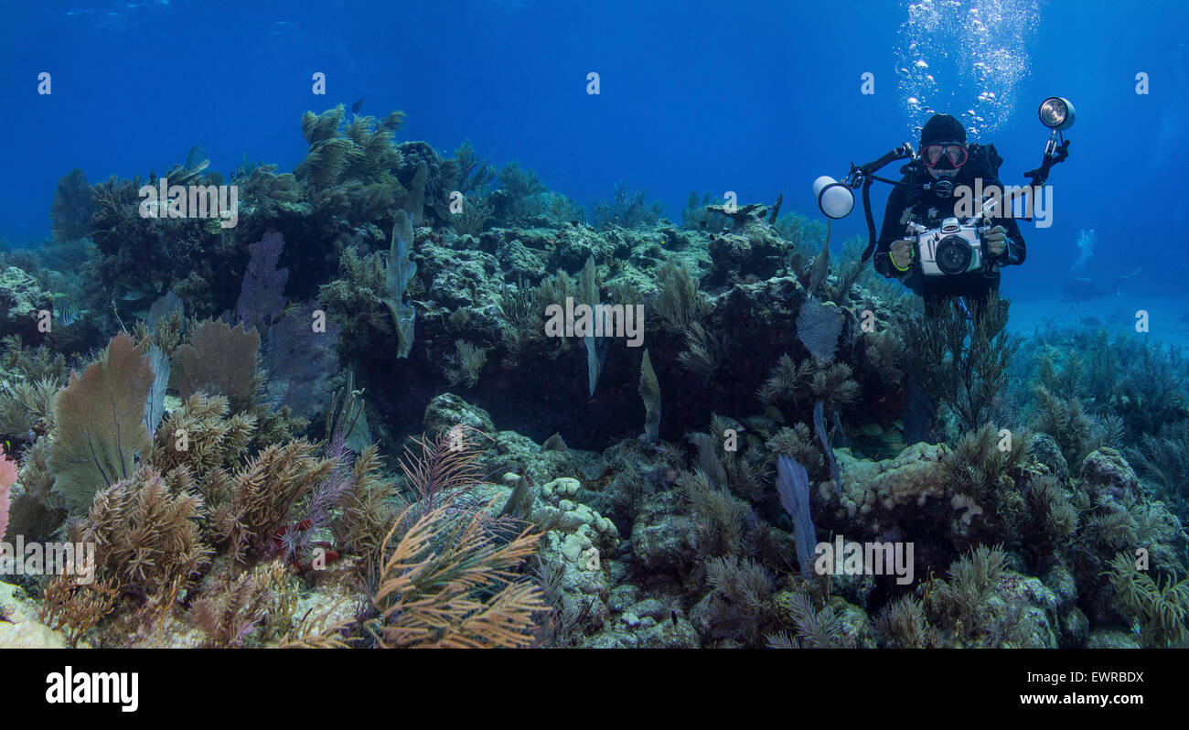 Unterwasser Panorama zeigt Fotograf, Stephen Frink, an einem Korallenriff in Key Largo. Stockfoto