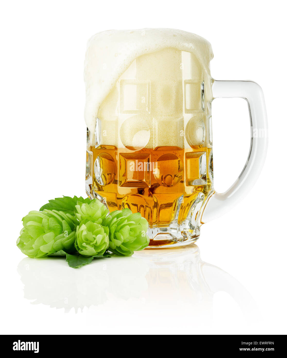 Becher frisches Bier mit grünen Hopfen auf dem weißen Hintergrund isoliert. Stockfoto