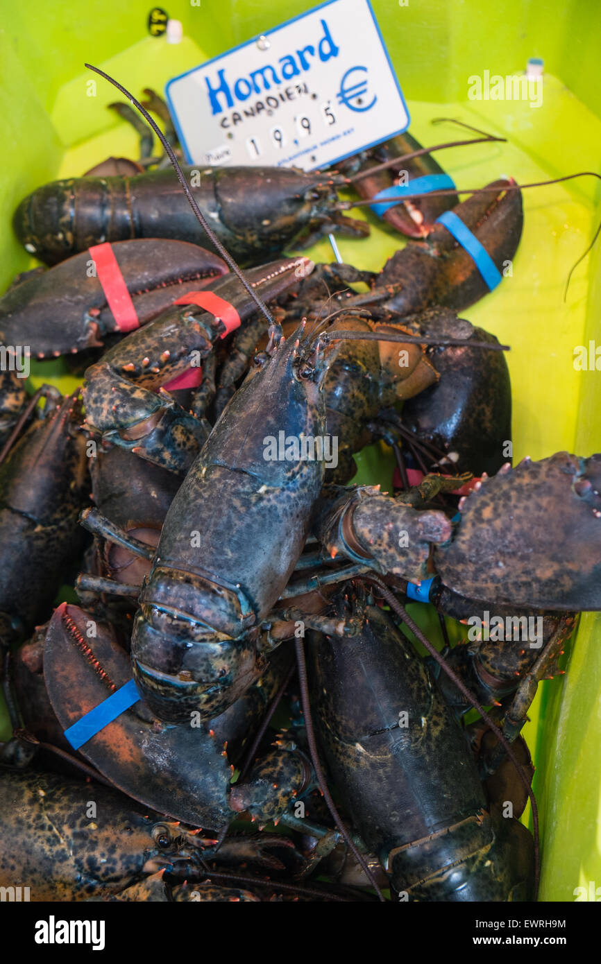 Marché, Aligre, Obst, Markt, im Freien, Paris, kanadischer Hummer, Paris, Frankreich Stockfoto