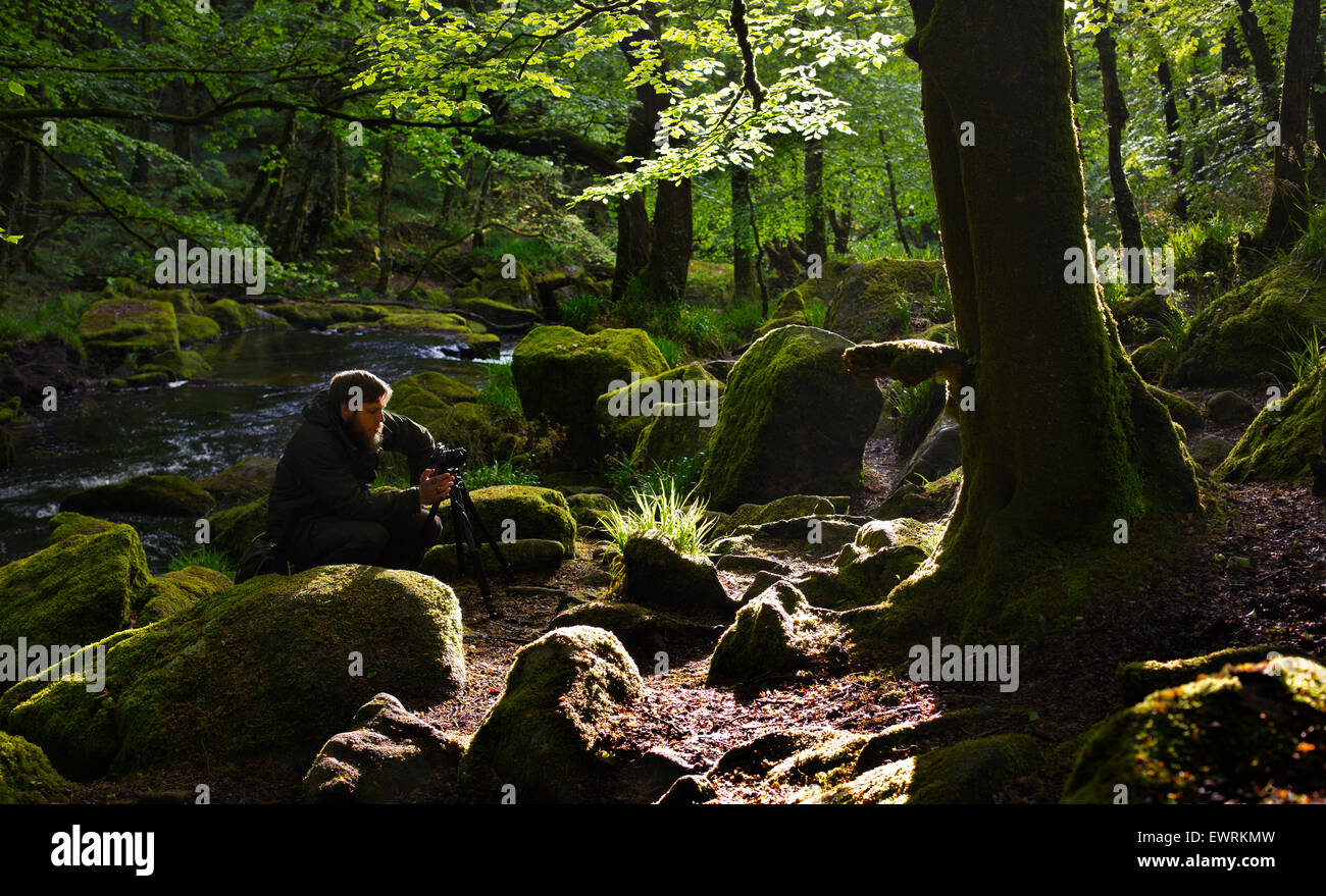 Ein Landschaftsfotograf fotografieren im Wald Stockfoto