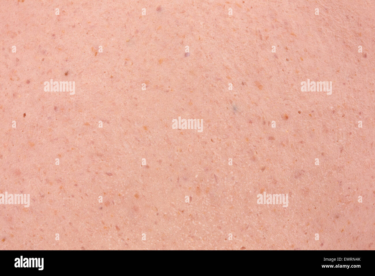 Ganz in der Nähe Blick auf ein Stück von Bologna. Stockfoto