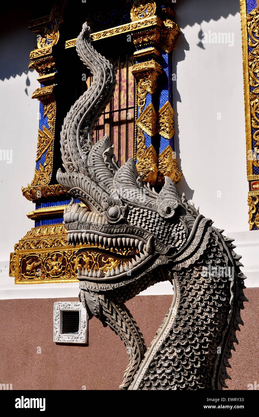 Chiang Mai, Thailand: Ein riesiger Stein Naga Drache mit fletschenden Zähnen neben dem Heiligtum Ubosot im Wat Hua Kuang Stockfoto