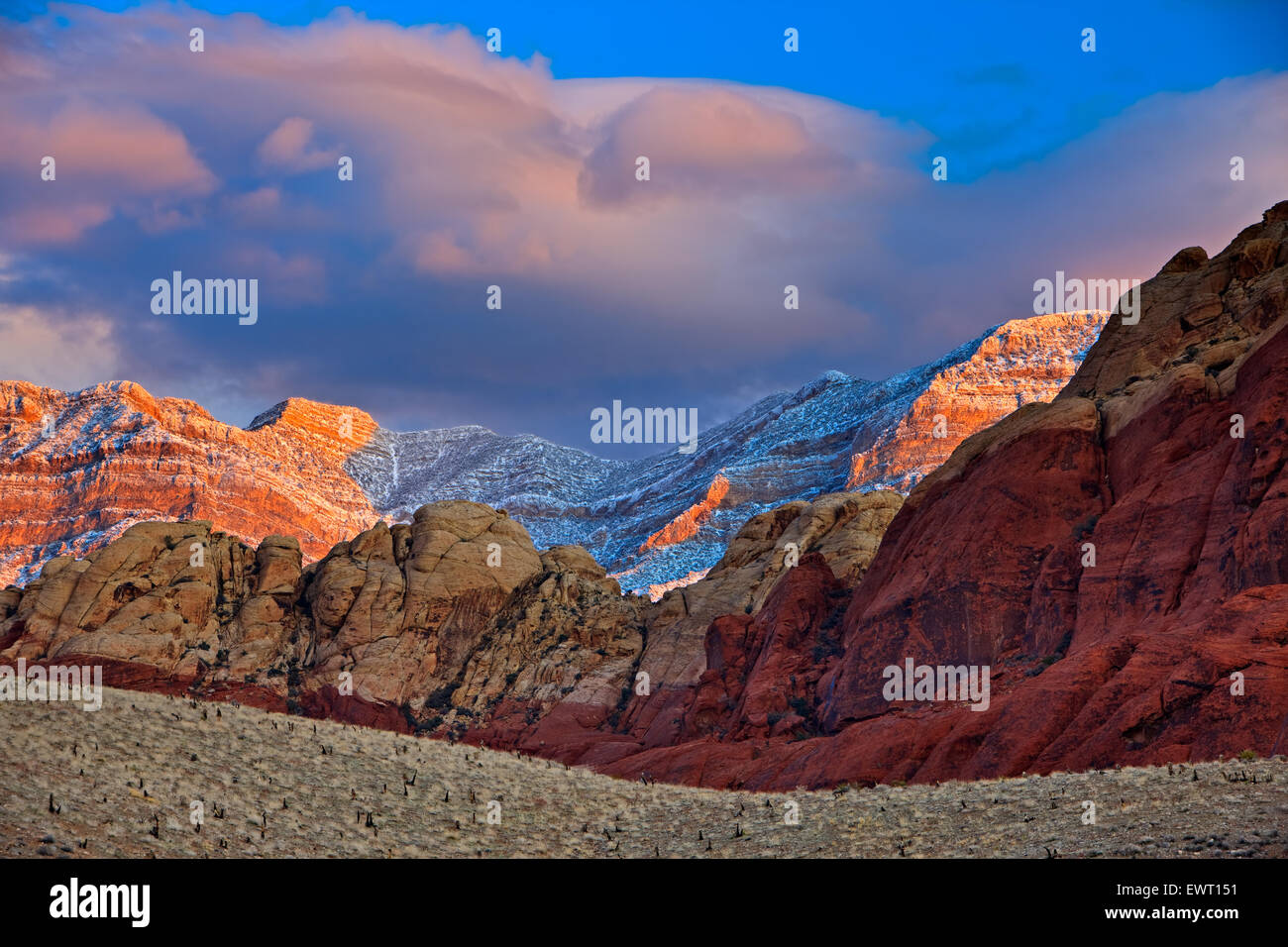 Spring Mountains, Red Rock Canyon National Conservation Area, Neuschnee auf Spring Mountains bei Sonnenaufgang im Red Rock Canyon N Stockfoto