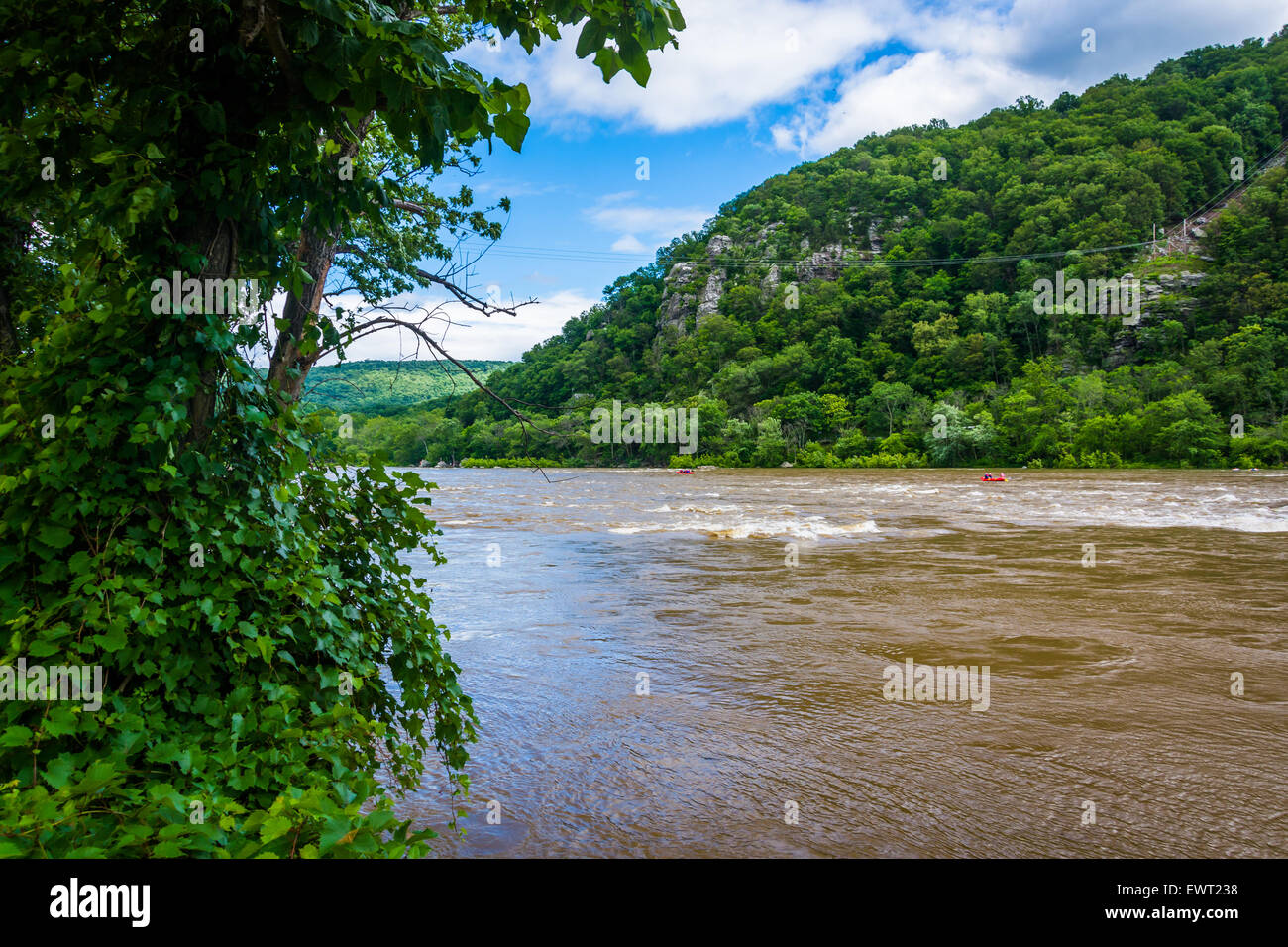 Potomac River, in Harpers Ferry, West Virginia. Stockfoto