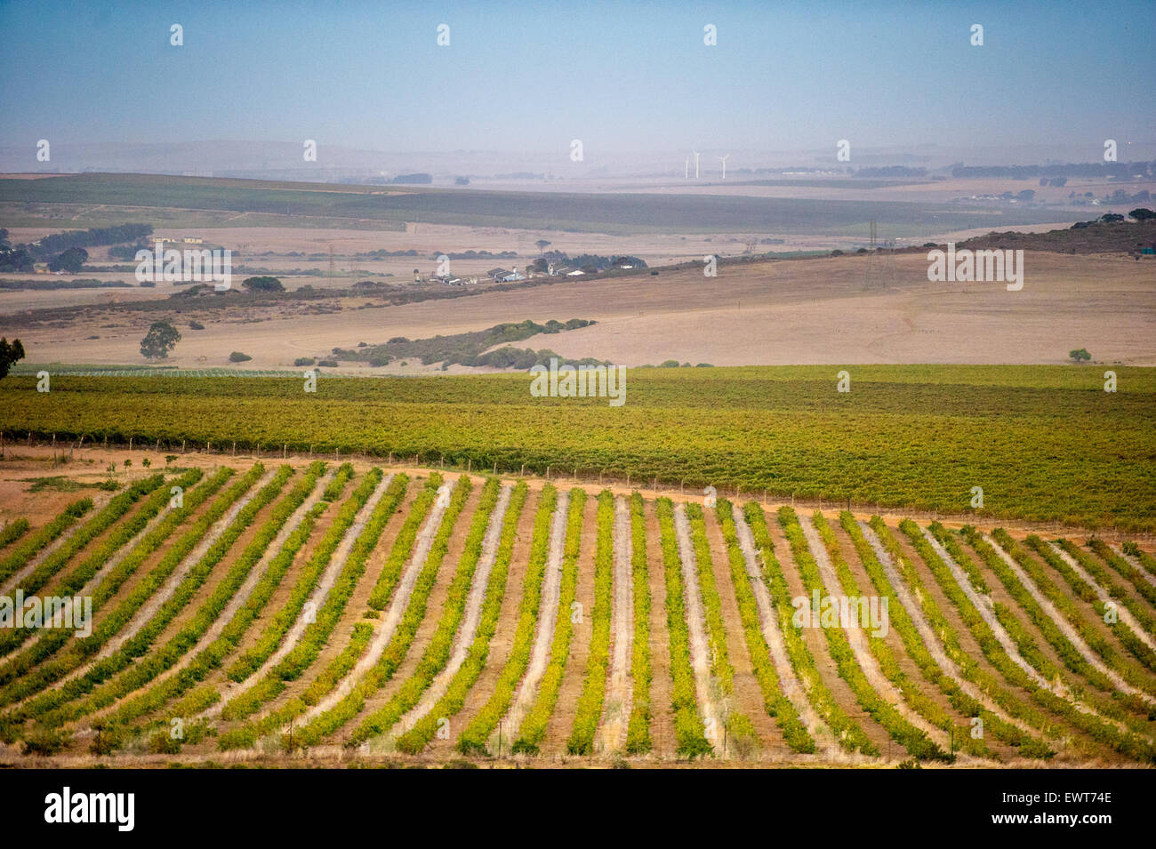 Stellenbosch, Südafrika-Weingut und die Weinberge Stockfoto