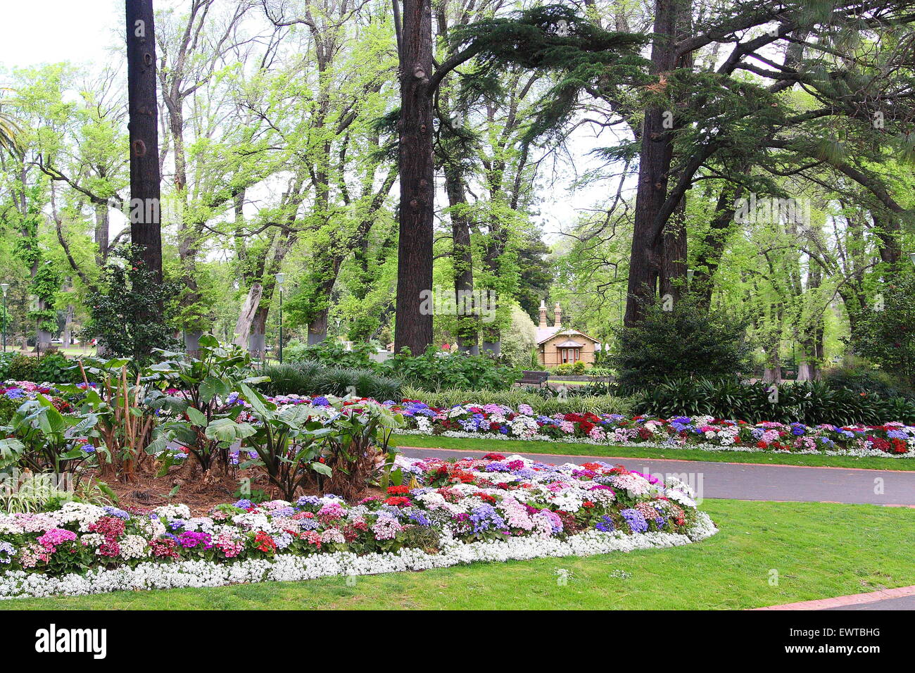 Allee der Bäume und Blumenbeete in Fitzroy Garden Melbourne Victoria Australien Stockfoto