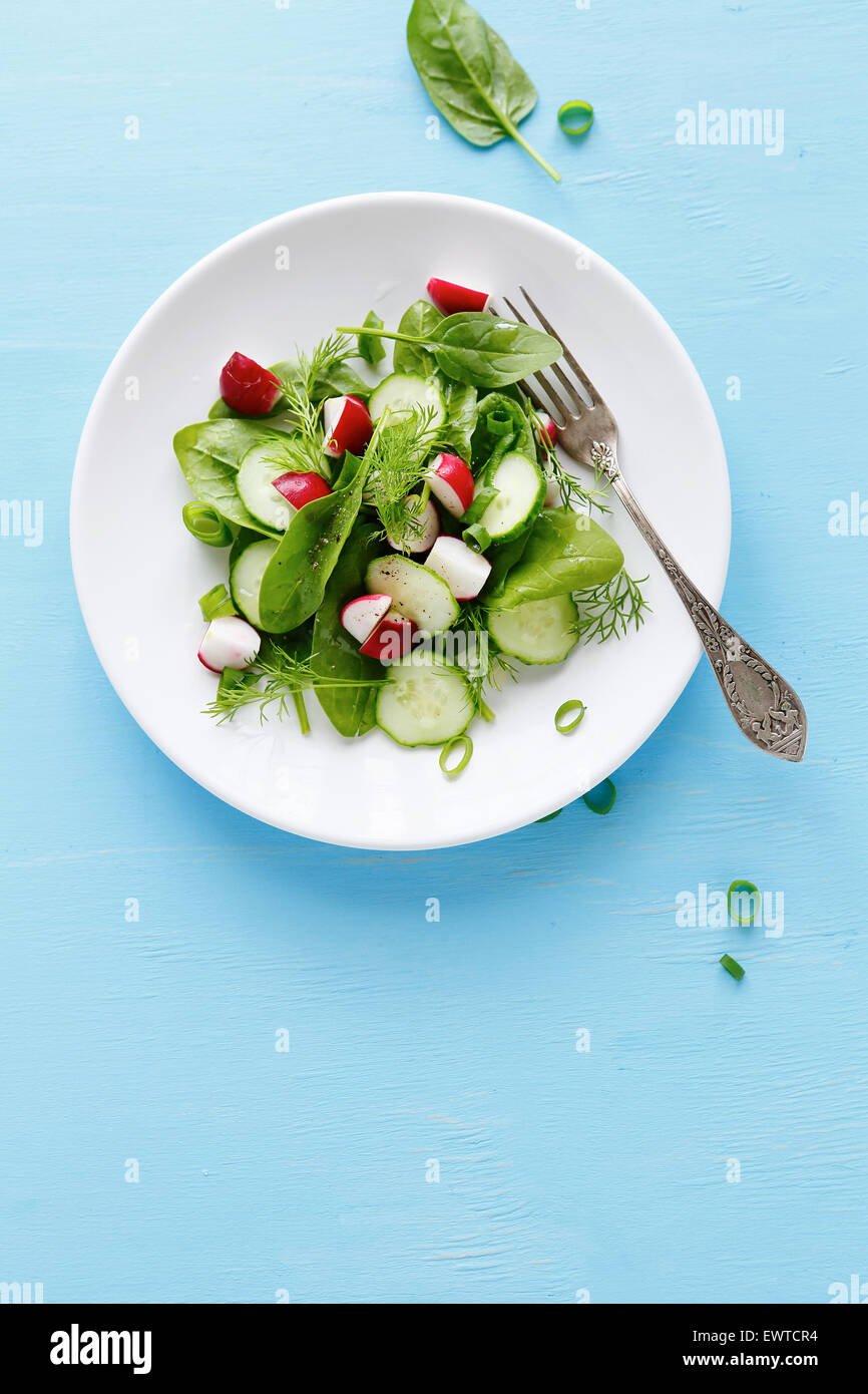 frischer Salat mit Radieschen auf Platte Stockfoto