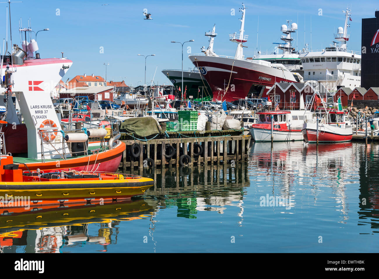 Boot Yachthafen, Hafen von Skagen, Skagen, Region Nord-Jütland, Dänemark Stockfoto