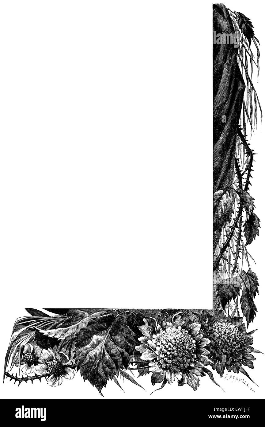 Holzschnitt ganzseitige halb-Grenze der Sträucher und Blumen Stockfoto
