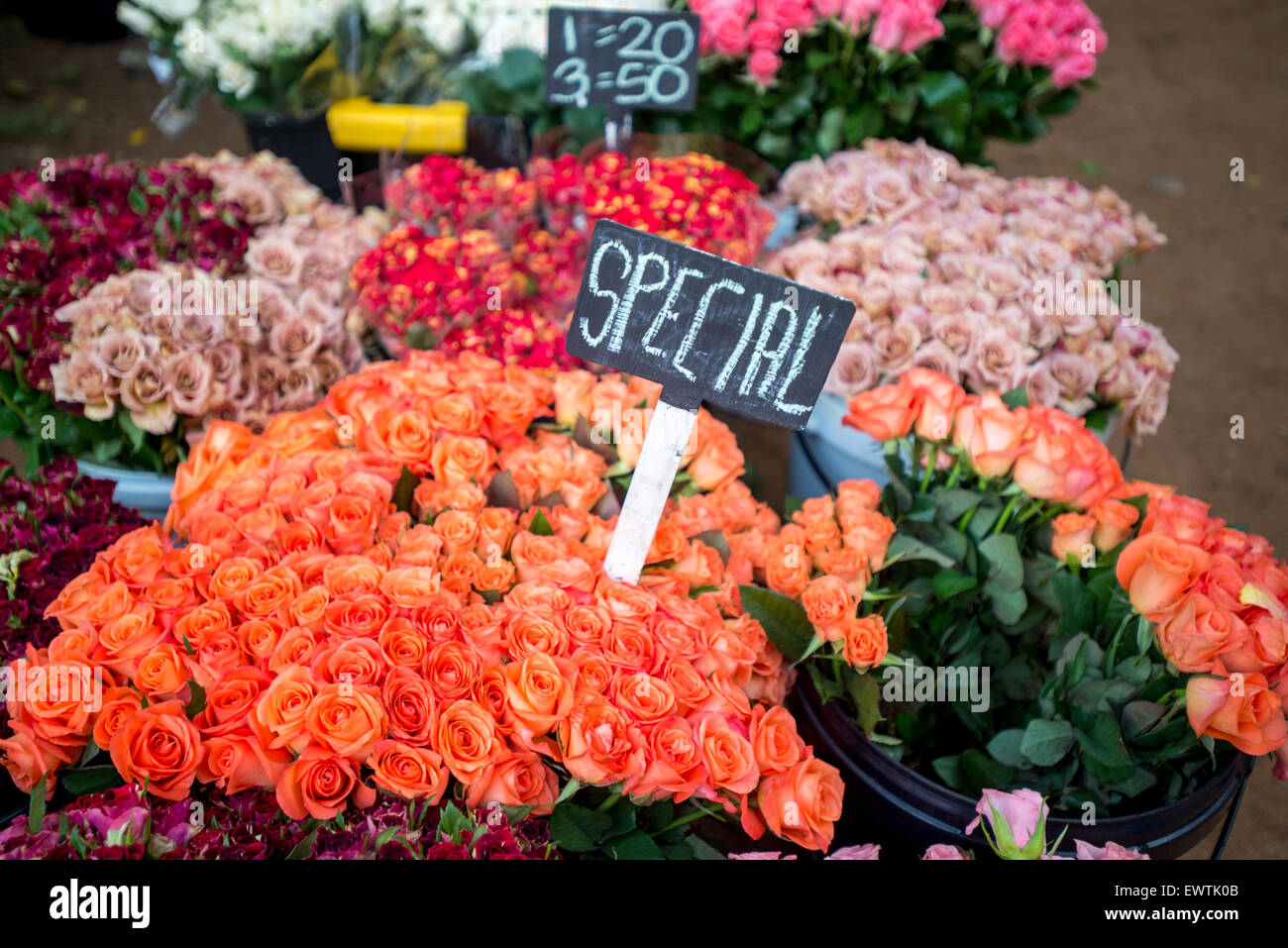 Südafrika - Blumen zum Verkauf am Bauernmarkt in Pretoria Stockfoto