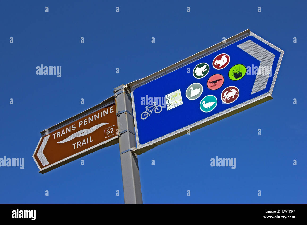 Anzeichen Richtungen für Trans Pennine Trail und lokale Radwege gekennzeichnet durch verschiedene Symbole, Southport Stockfoto