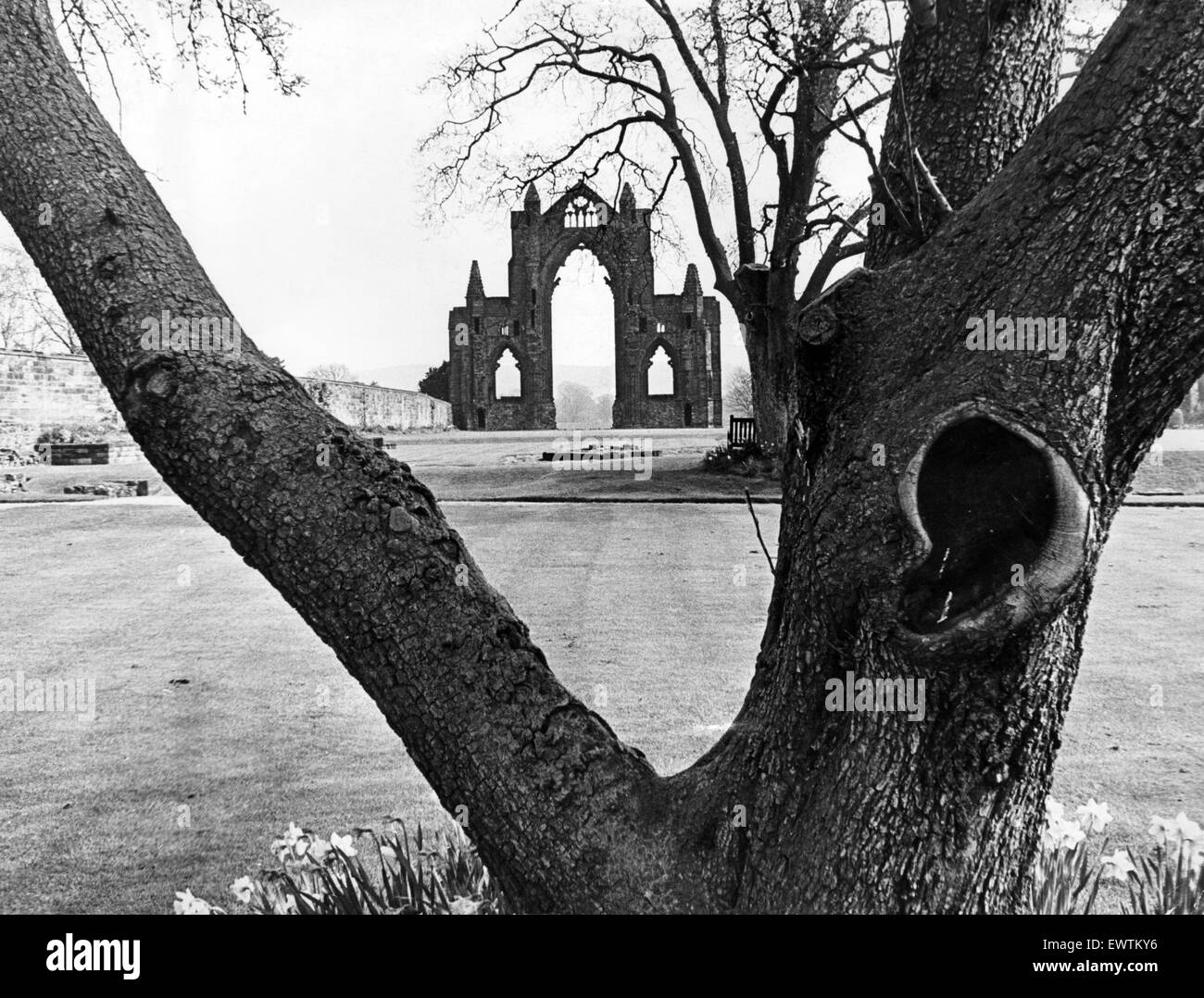 Die 98 Fuß hohen Ruinen der Priory Augustinerkirche in Guisborough, North Yorkshire. 25. April 1975. Stockfoto