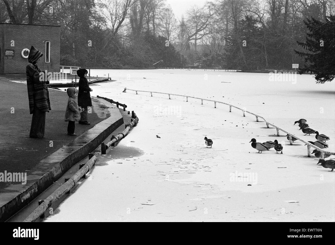 Zugefrorenen See, Cannon Hill Park, Birmingham, England, 12. Februar 1978. Stockfoto