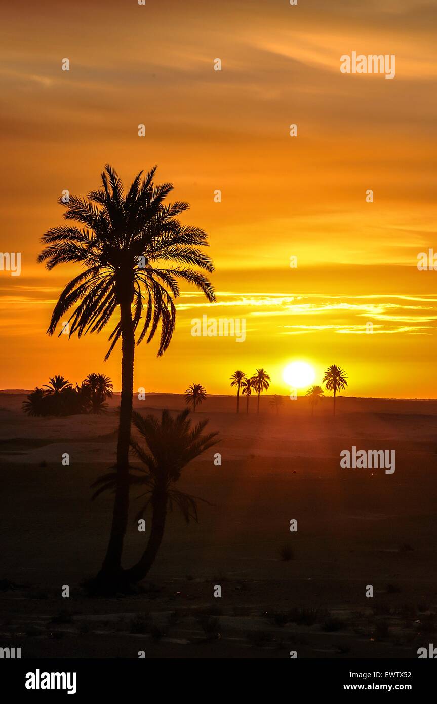Außergewöhnliche Farben zum Zeitpunkt des Sonnenuntergangs Stockfoto