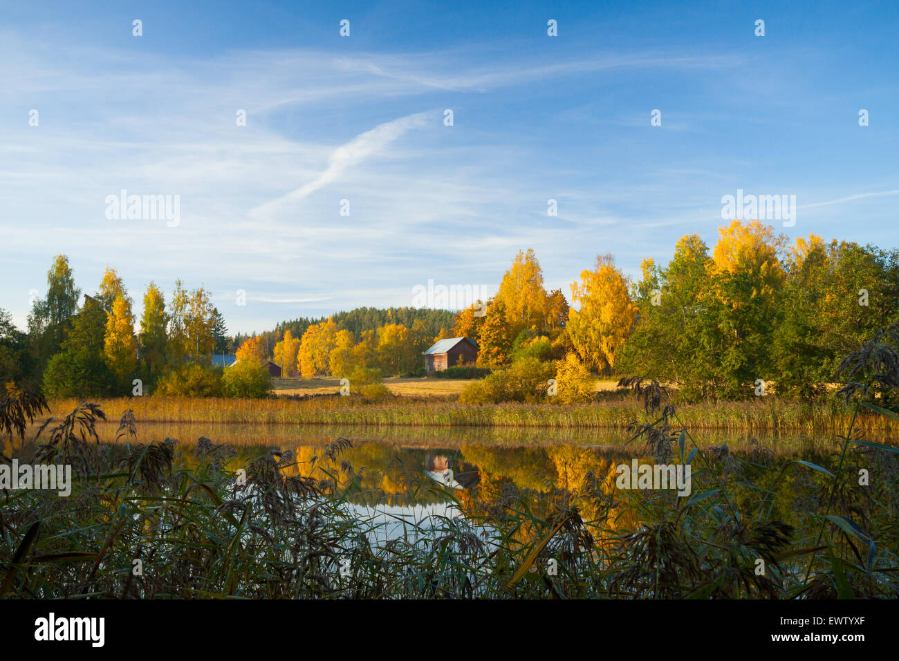Heiteren Herbst Szene Finnland Stockfoto