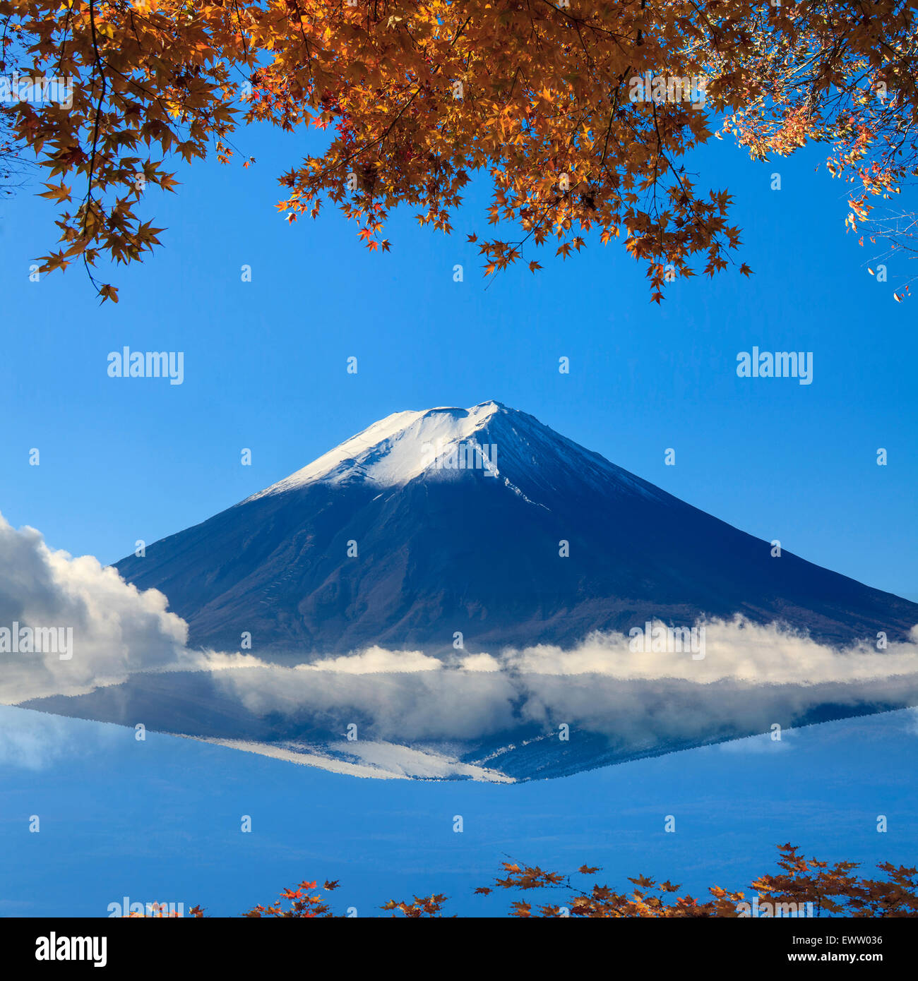 Bild des Heiligen Berg Fuji im Hintergrund in Japan für Adv oder andere nutzen Zwecke Stockfoto