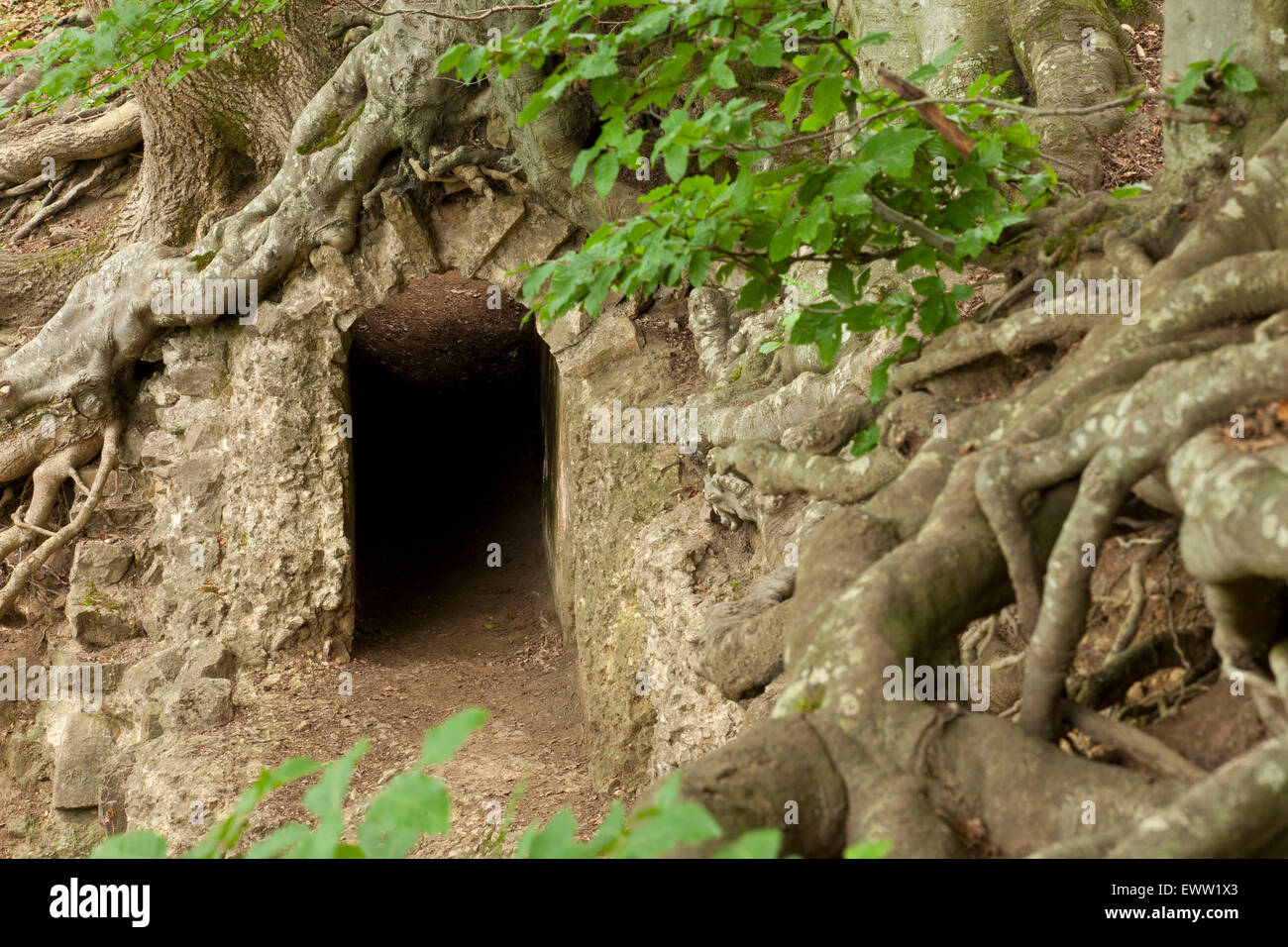 Europa, Deutschland, Nordrhein-Westfalen, Urft, Relikt aus der römischen Wasserleitung in der Nähe von Burg Dalbenden (mit einem Abstand von 95,4 Stockfoto